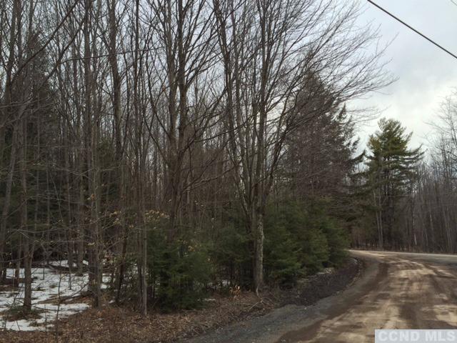 0 Terrace Drive, Lexington, NY 12452