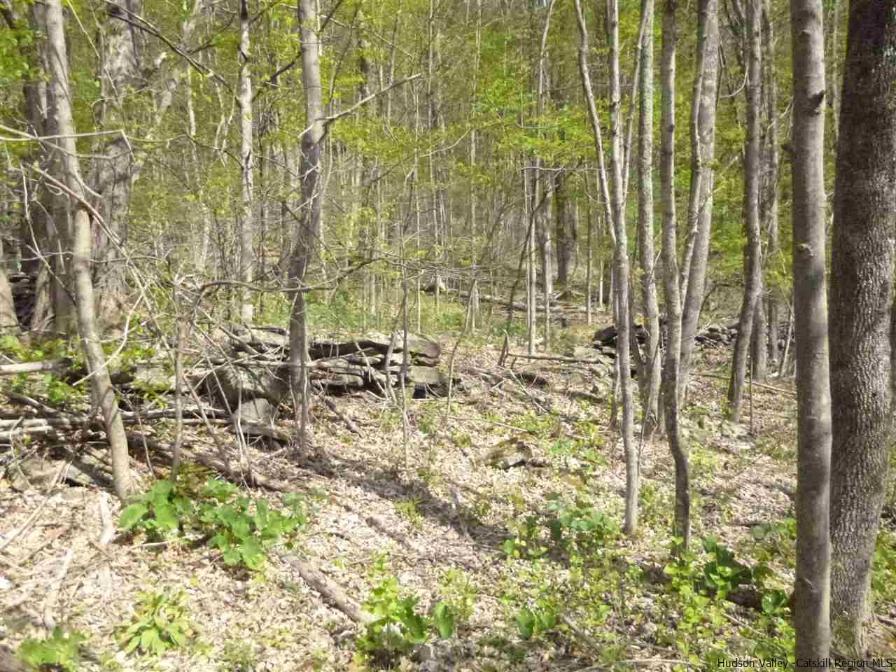 TBD Max's Way Road, Margaretville, NY 12455