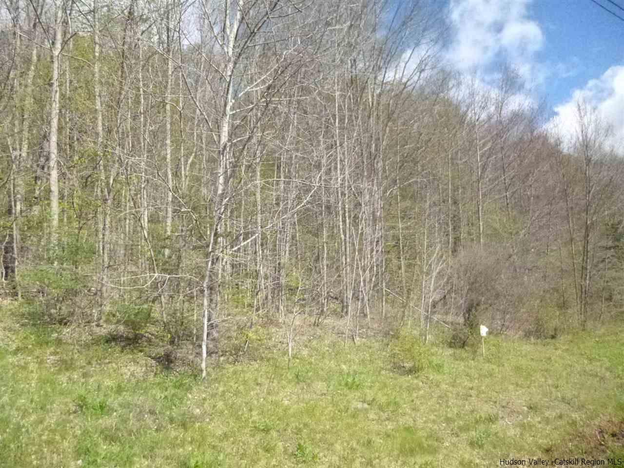 TBD Max's Way Road, Margaretville, NY 12455