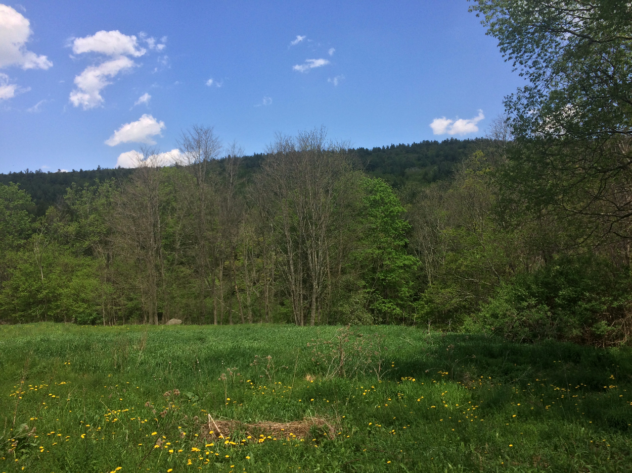 State Highway 23, Roxbury, NY 12474