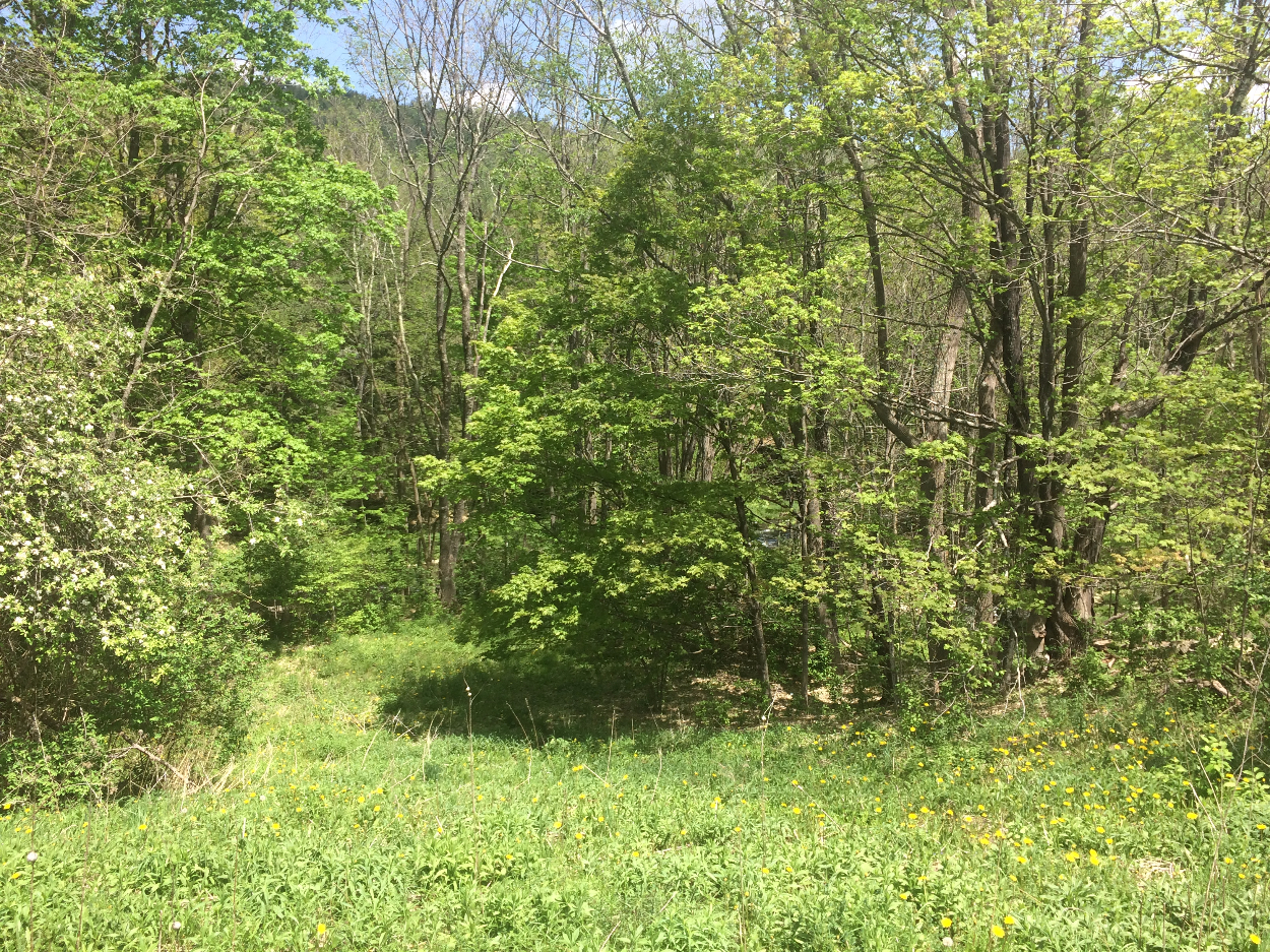 State Highway 23, Roxbury, NY 12474