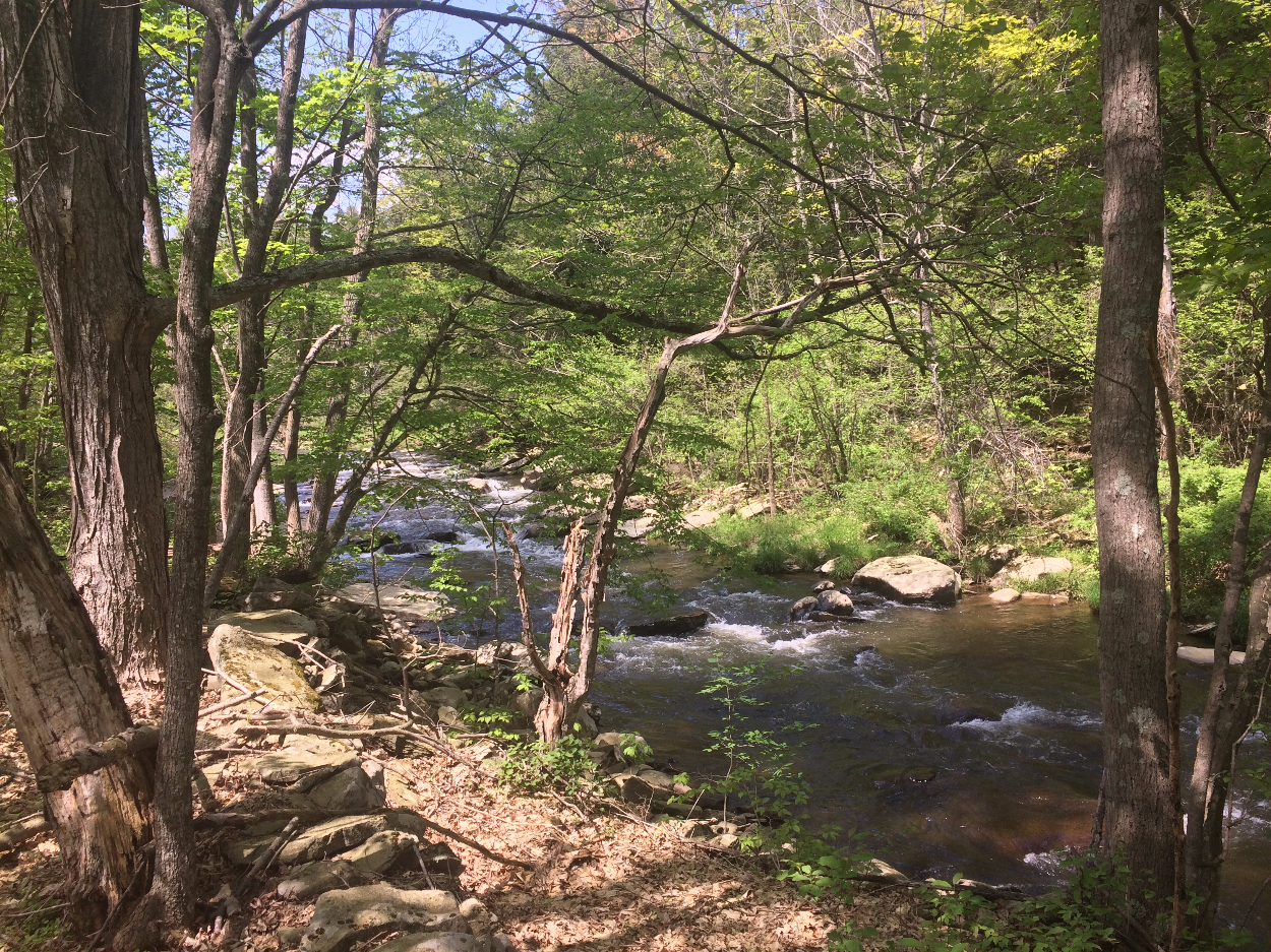 State Highway 23, Roxbury, NY 12474