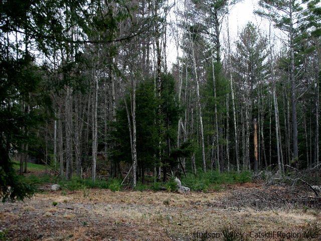 0 Spook Hole Road, Ellenville, NY 12484