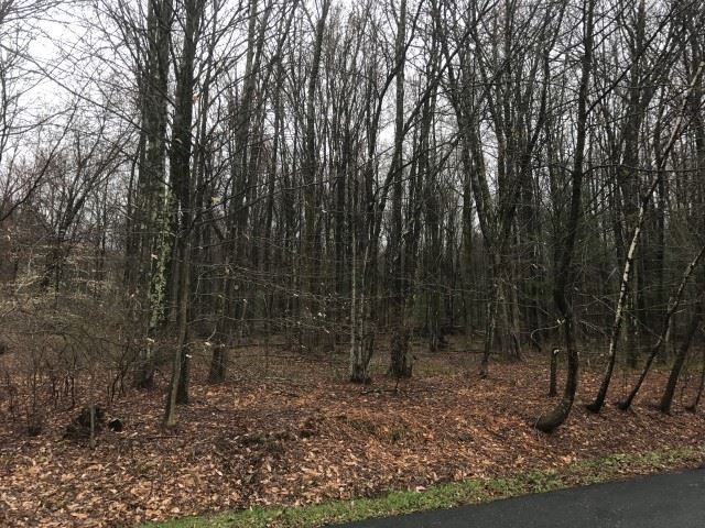 3 SE sunset drive, Monticello, NY 12701