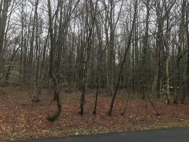 3 SE sunset drive, Monticello, NY 12701