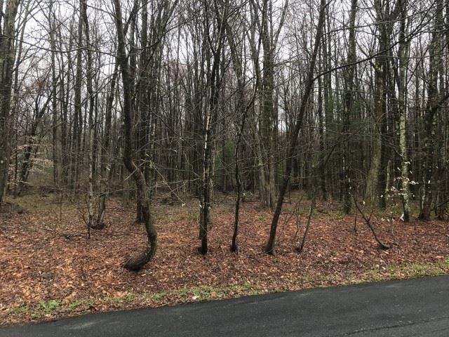 3 SE sunset drive, Monticello, NY 12701