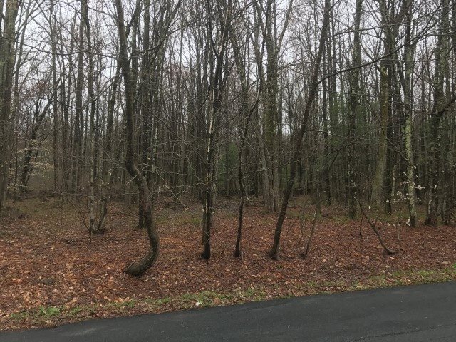 3 SE sunset drive, Monticello, NY 12701