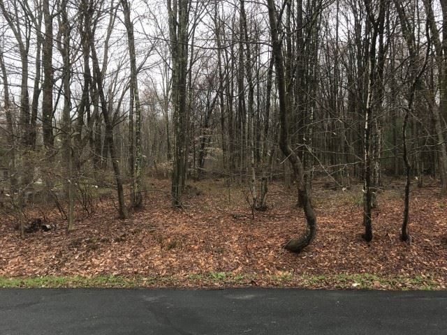 3 SE sunset drive, Monticello, NY 12701