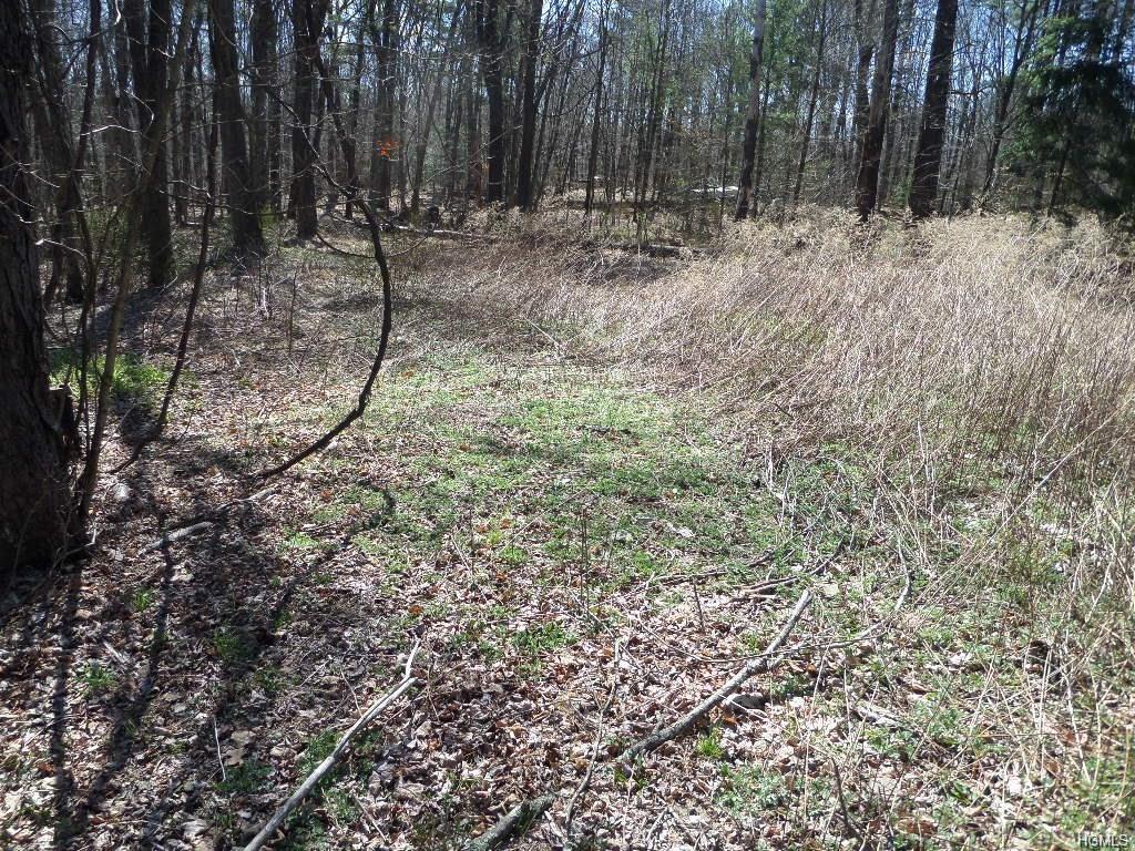 98 Burlingham Road, Bloomingburg, NY 12721