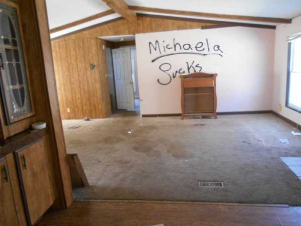 New Twin Lakes 55 White Birch TrailBloomingburg, NY 12721