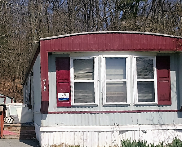 New Twin Lakes 78 White Birch TrailBloomingburg, NY 12721