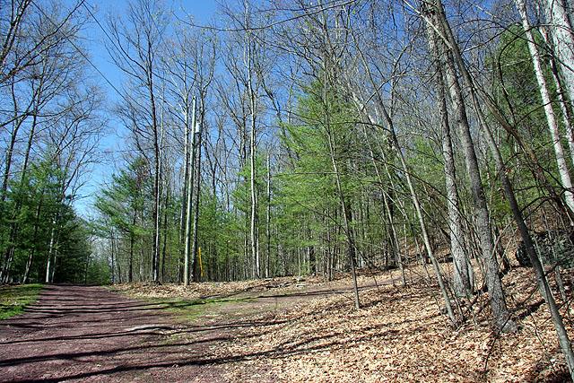 0 Barbara Drive, Callicoon, NY 12723