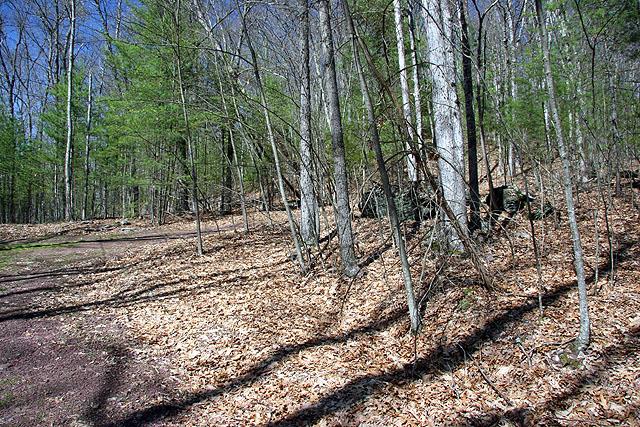 0 Barbara Drive, Callicoon, NY 12723