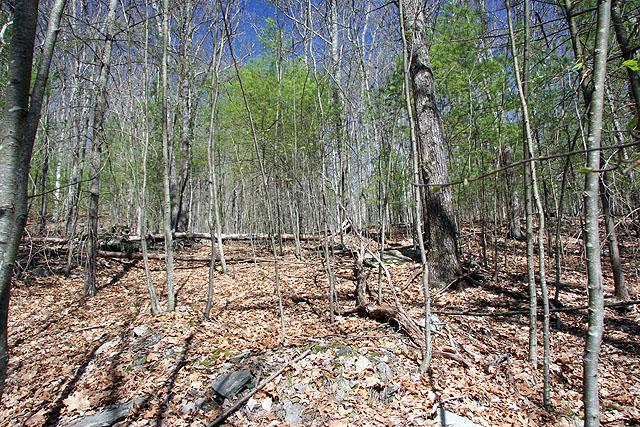 0 Barbara Drive, Callicoon, NY 12723