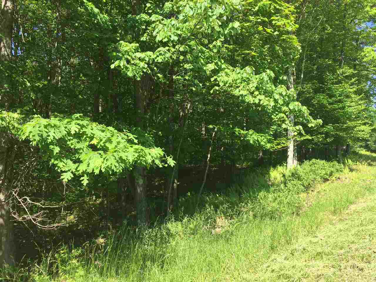Country Road, Callicoon, NY 12723