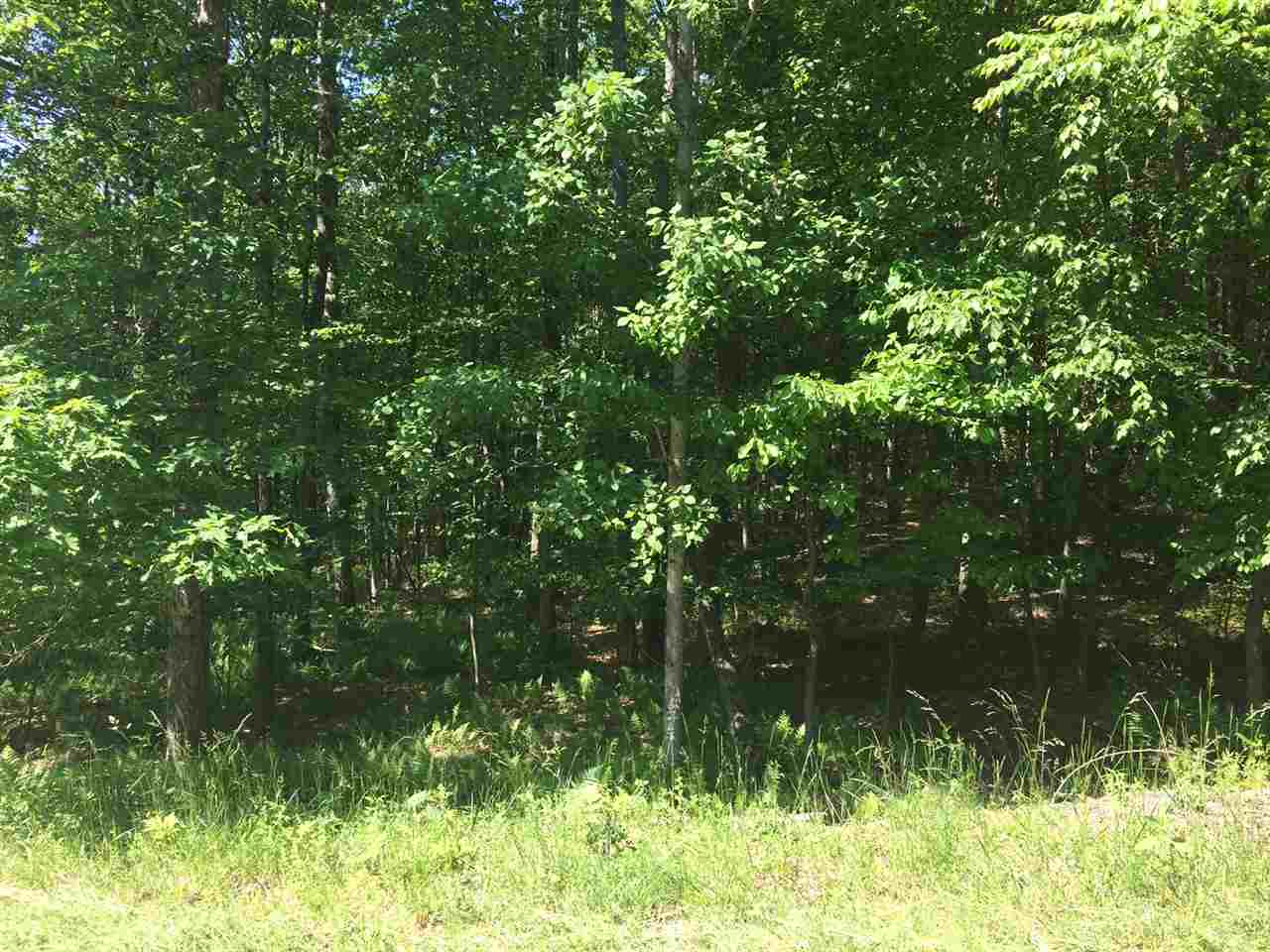 Country Road, Callicoon, NY 12723