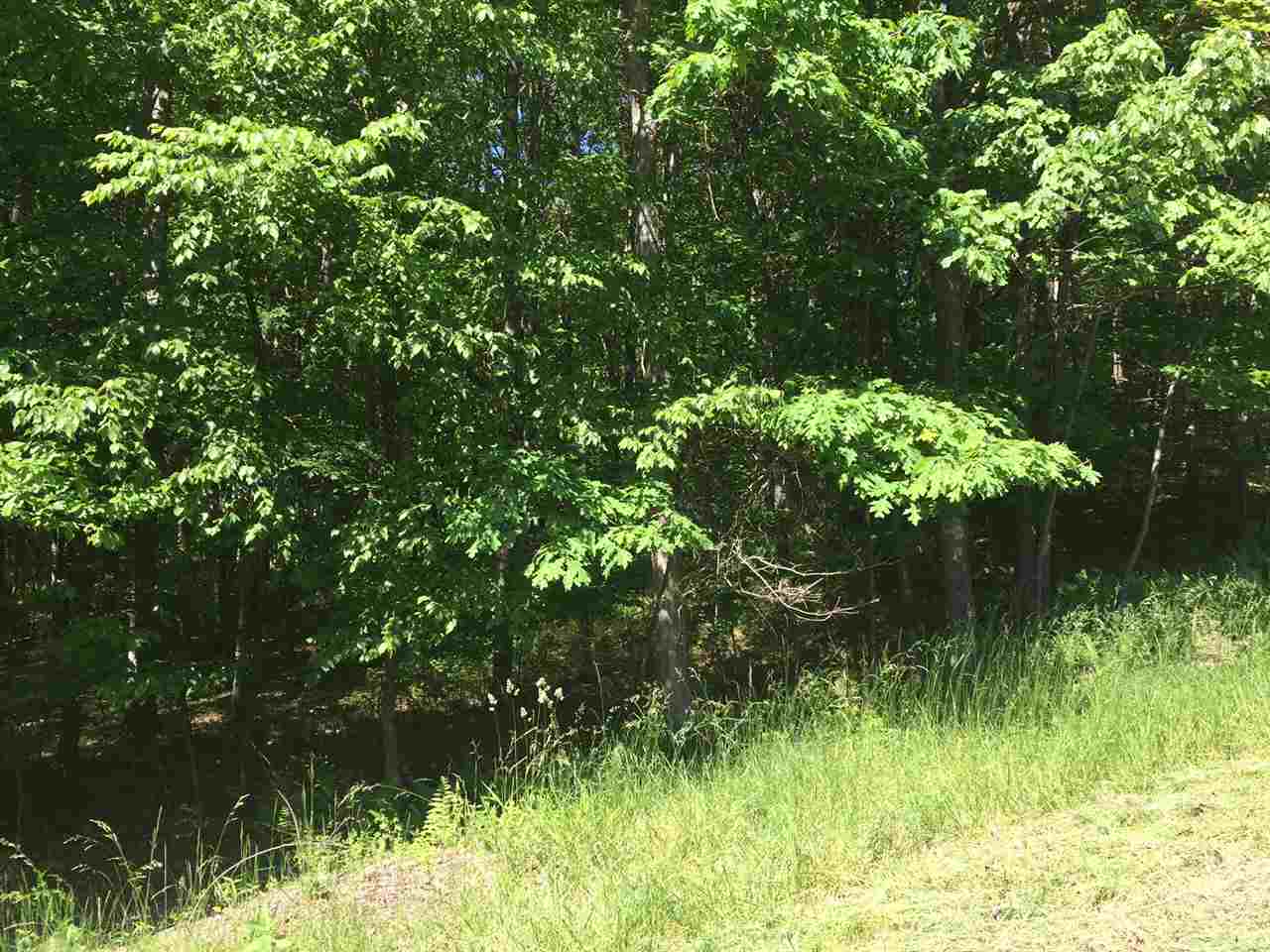 Country Road, Callicoon, NY 12723