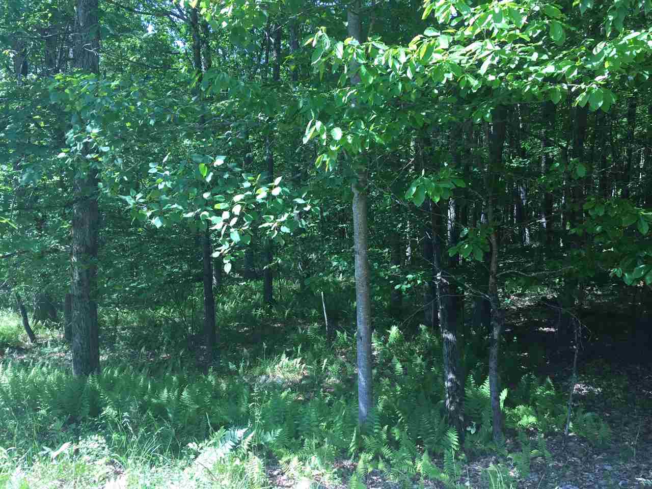 Country Road, Callicoon, NY 12723