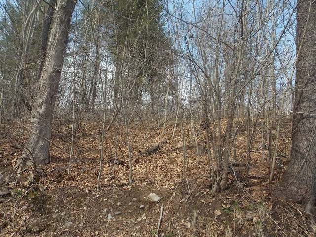 26 Lebed Rd., Woodbourne, NY 12733