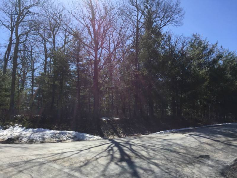 Willow Ln, Glen Spey, NY 12737