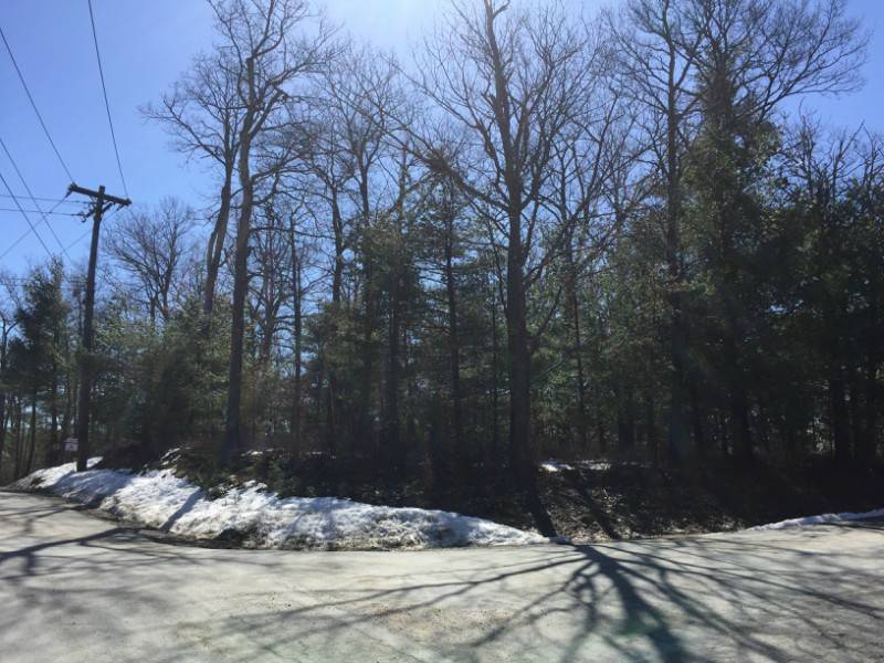 Willow Ln, Glen Spey, NY 12737