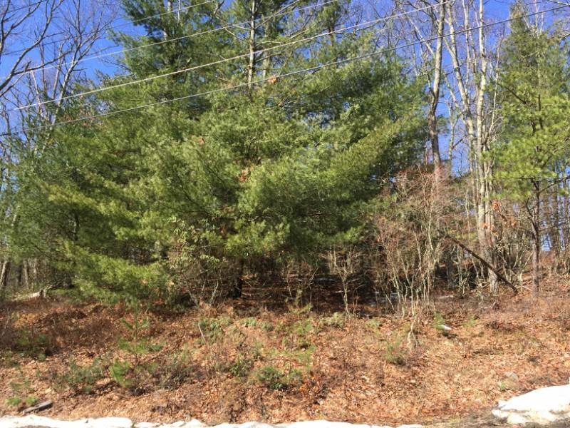 Willow Ln, Glen Spey, NY 12737