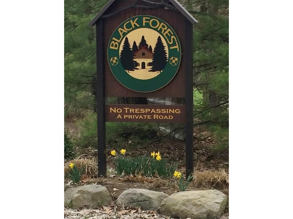 Main Black Forest, Glen Spey, NY 12737