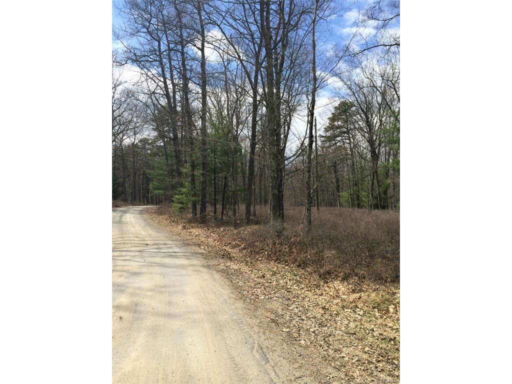 Main Black Forest, Glen Spey, NY 12737