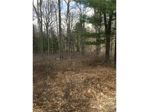 Main Black Forest, Glen Spey, NY 12737