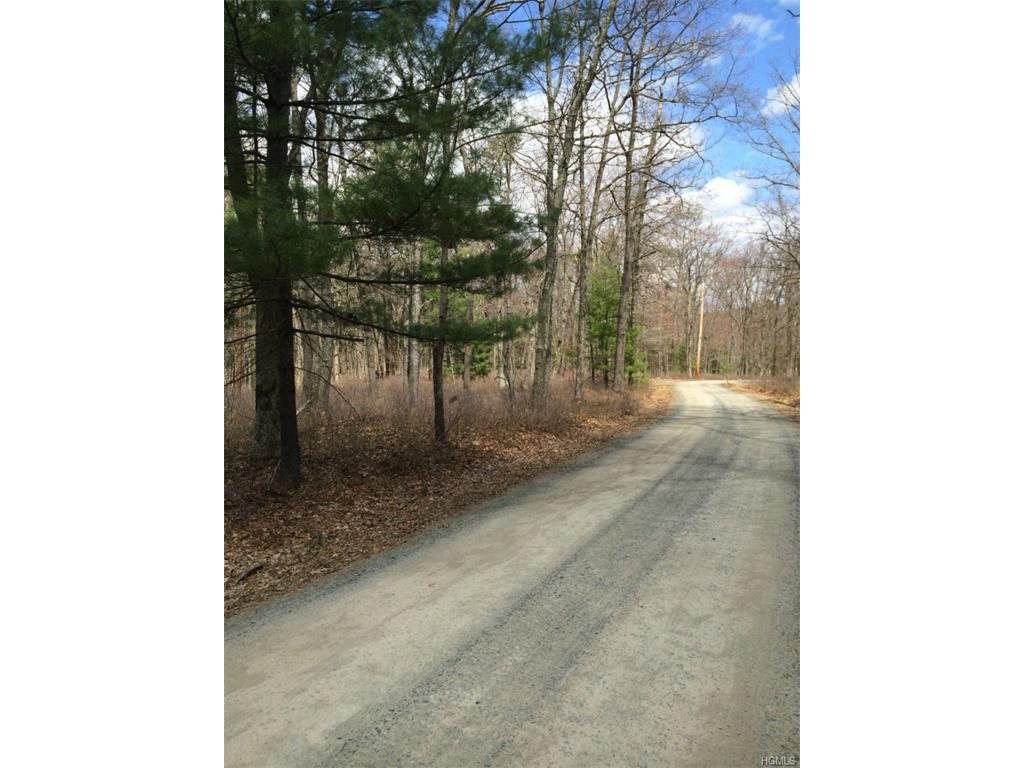 Main Black Forest, Glen Spey, NY 12737