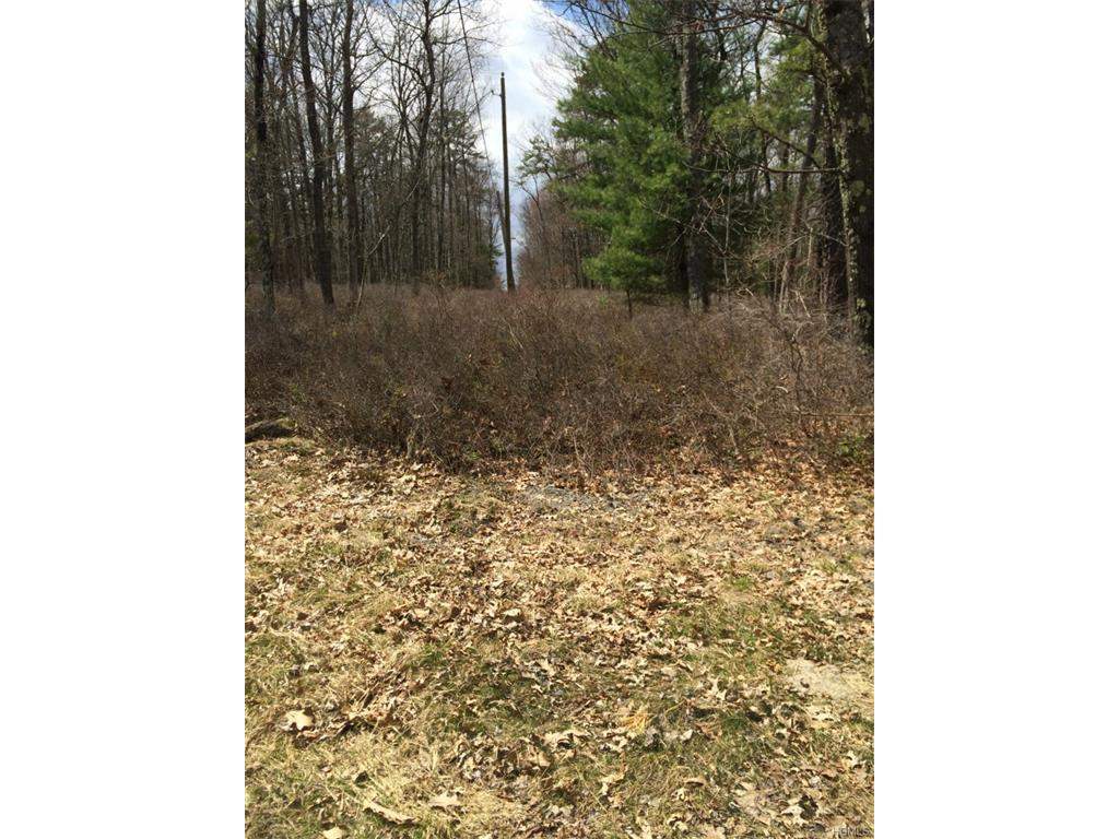 Main Black Forest, Glen Spey, NY 12737