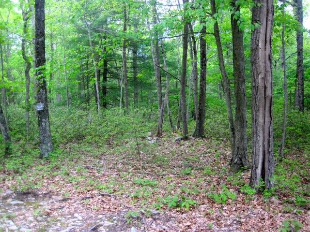  Hallenbach Road, Glen Spey, NY 12737