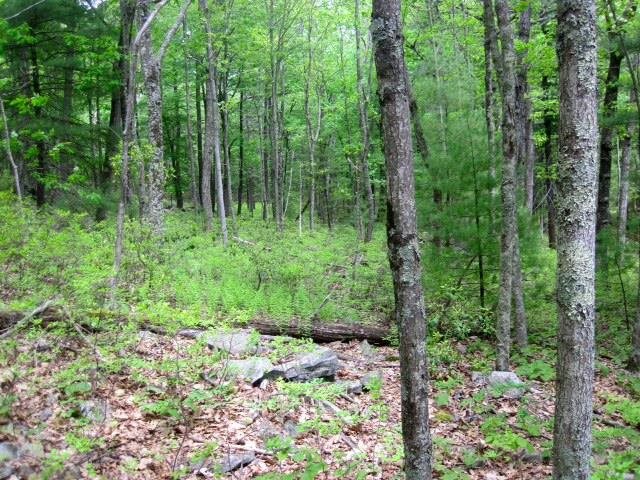  Hallenbach Road, Glen Spey, NY 12737