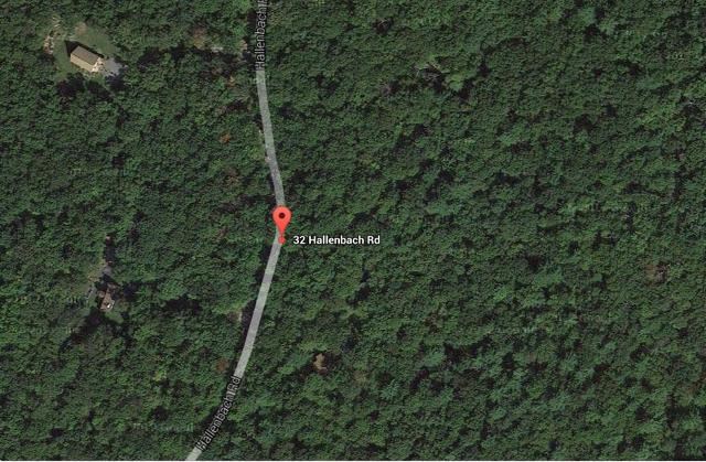  Hallenbach Road, Glen Spey, NY 12737