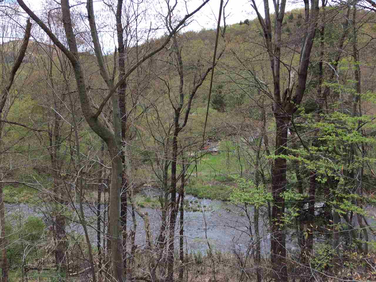 225 Old Route 17, Livingston Manor, NY 12758
