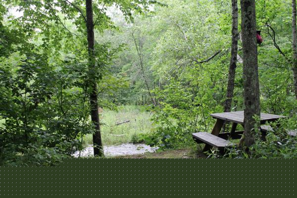 Foxcroft Village 5 Dartmouth CircleLoch Sheldrake, NY 12759