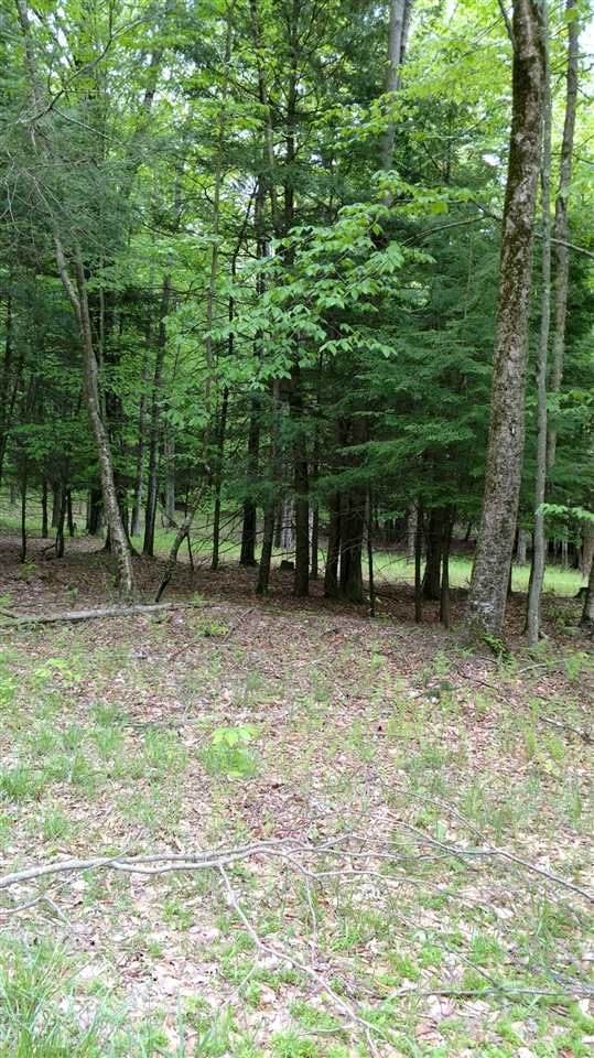 old tacy rd tr 95, Bethel, NY 12786