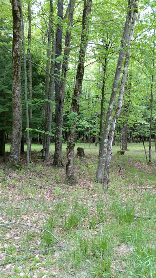 old tacy rd tr 95, Bethel, NY 12786