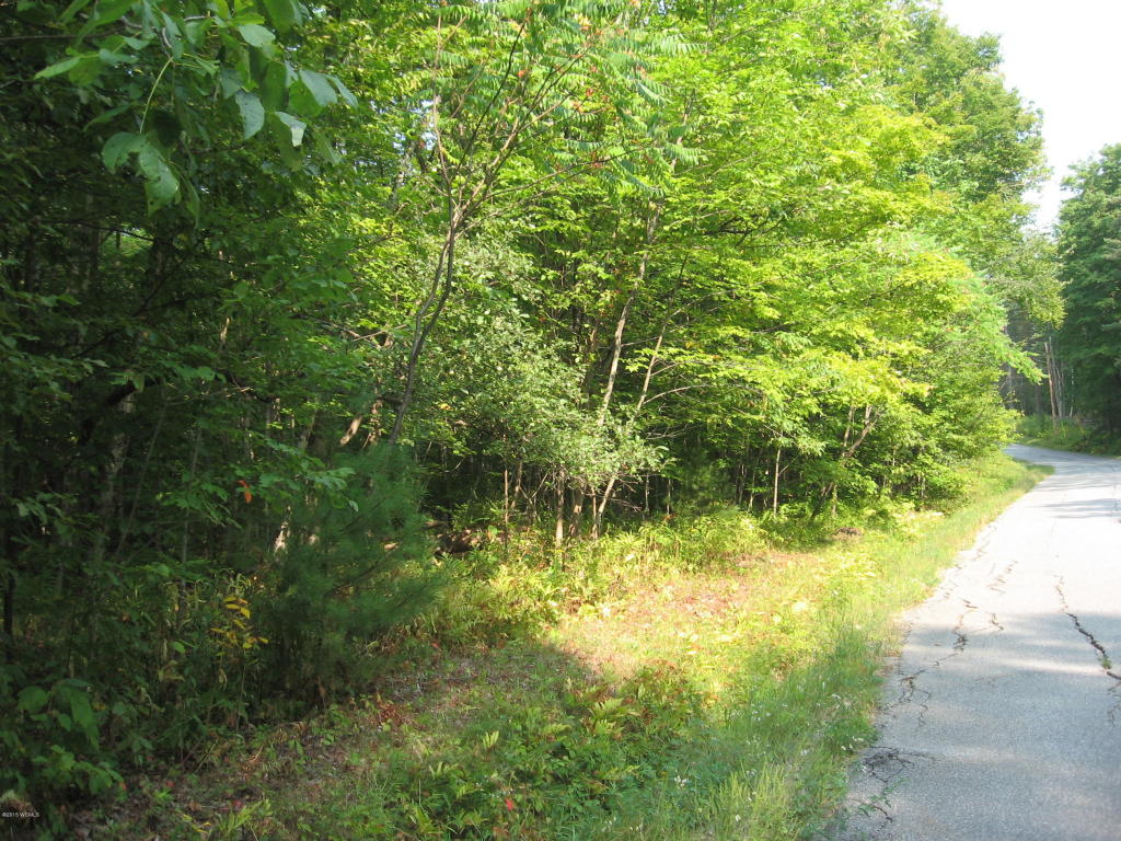 00 Grassville Road, Brant Lake, NY 12815