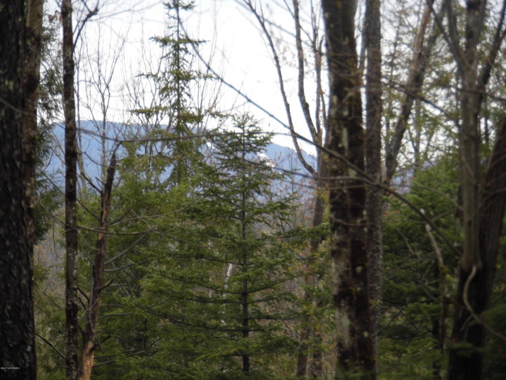 0 Garnet Lake Rd, North River, NY 12843