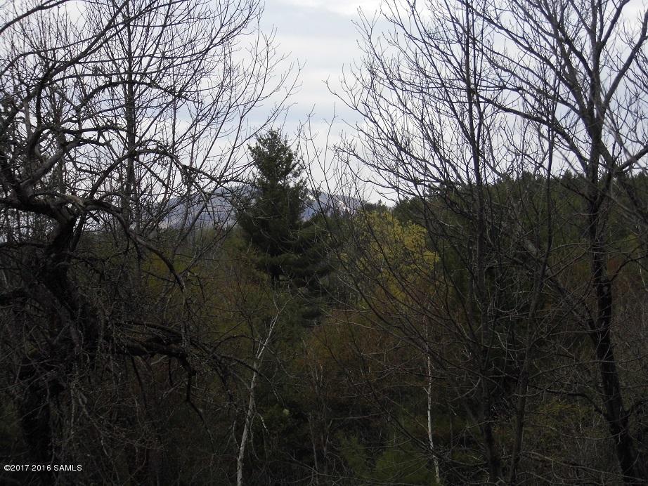 0 Garnet Lake Rd, North River, NY 12843