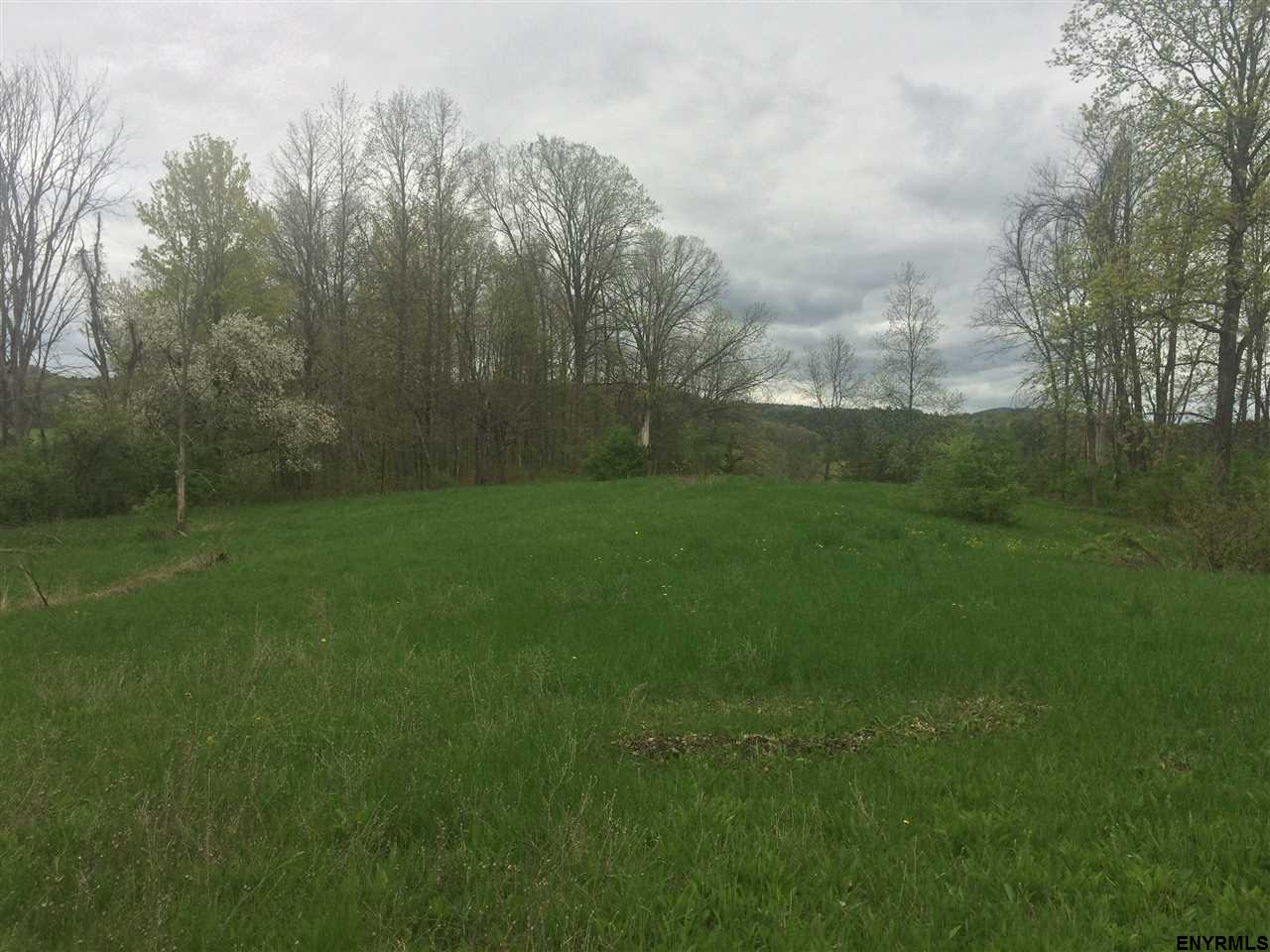 0 CARLTON RD, Whitehall, NY 12887