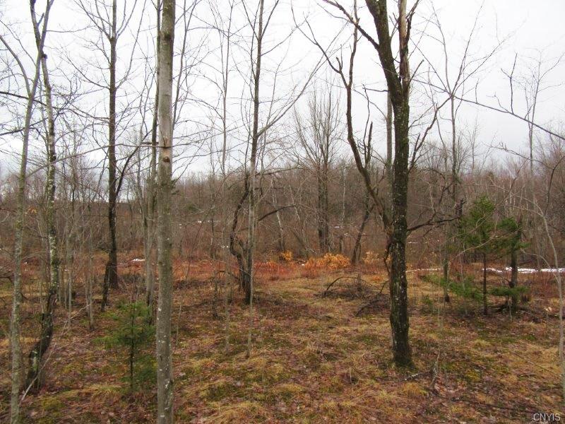 00 County Route 36, Burke, NY 12917