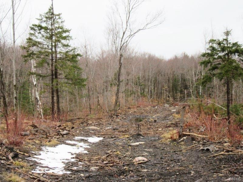 00 County Route 36, Burke, NY 12917