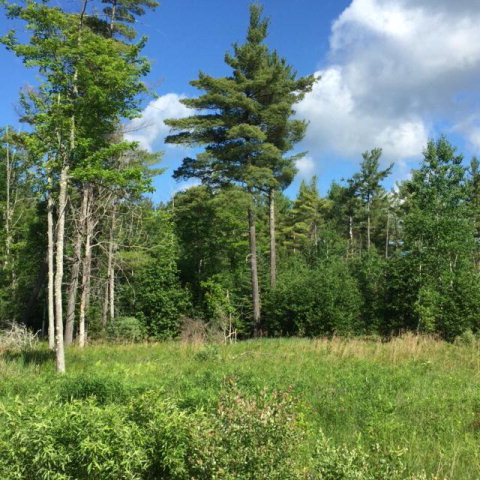 13 Danielle Road, Jay, NY 12941
