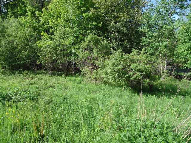 1541 County Route 25, Malone, NY 12953