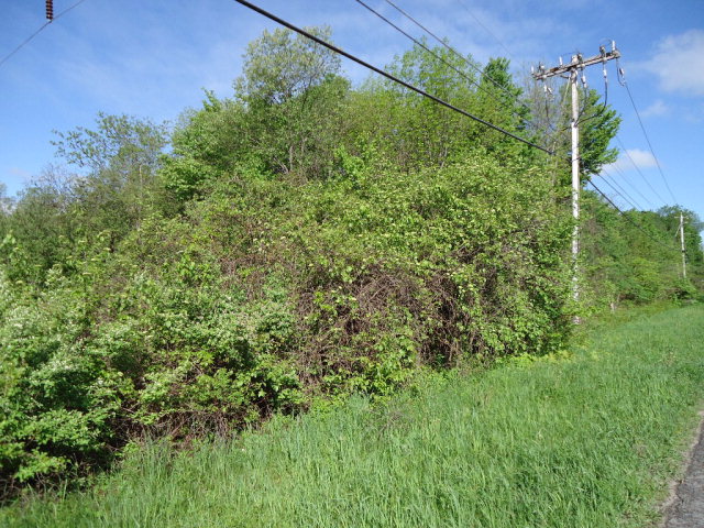 1541 County Route 25, Malone, NY 12953