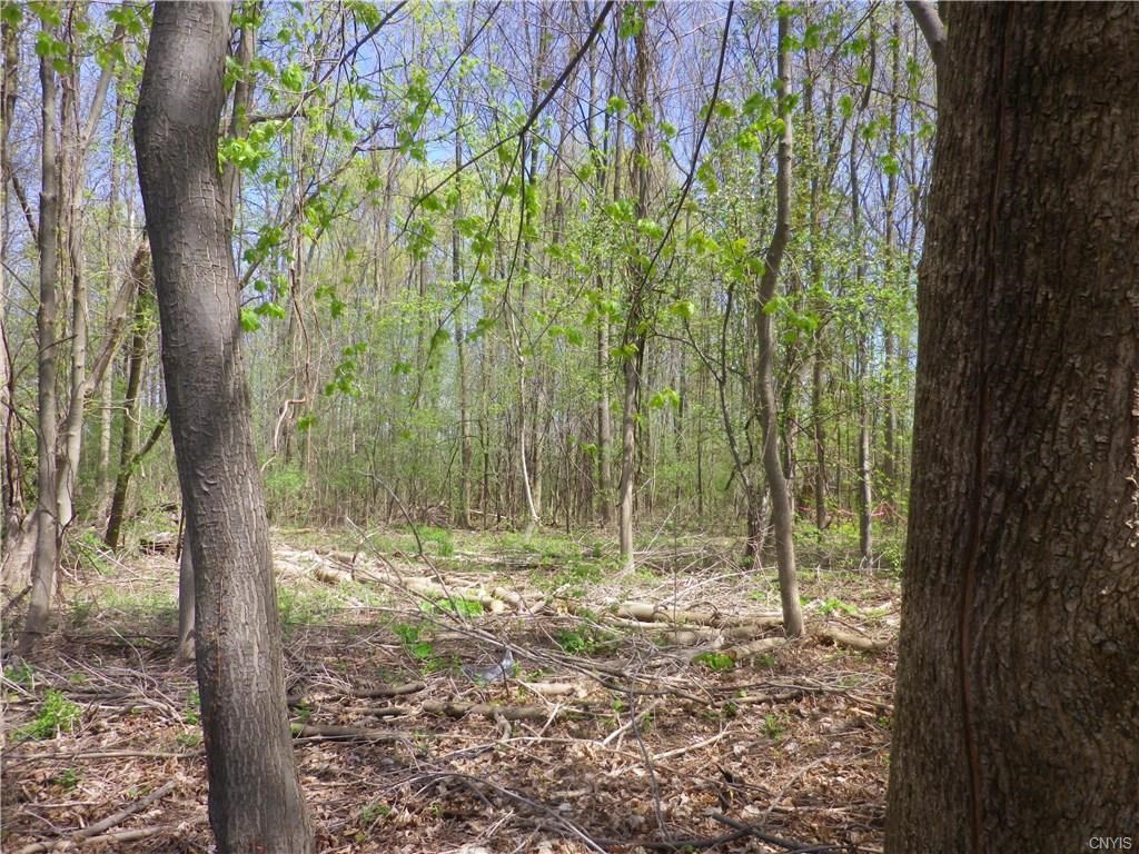 3071 Cold Springs RD, Lysander, NY 13027