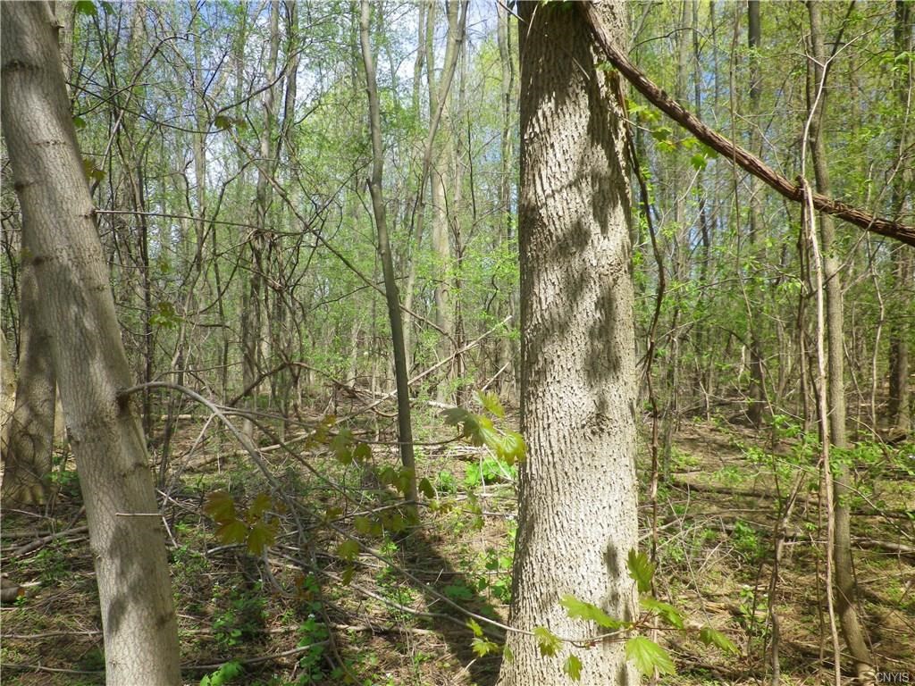 3071 Cold Springs RD, Lysander, NY 13027