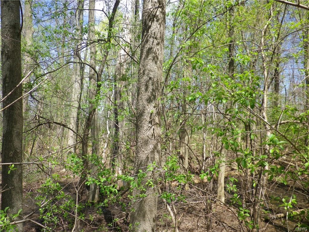 3071 Cold Springs RD, Lysander, NY 13027